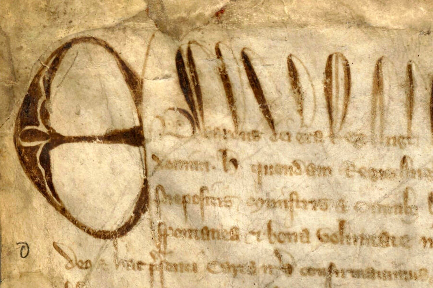 Magna Carta Hls Ms 172