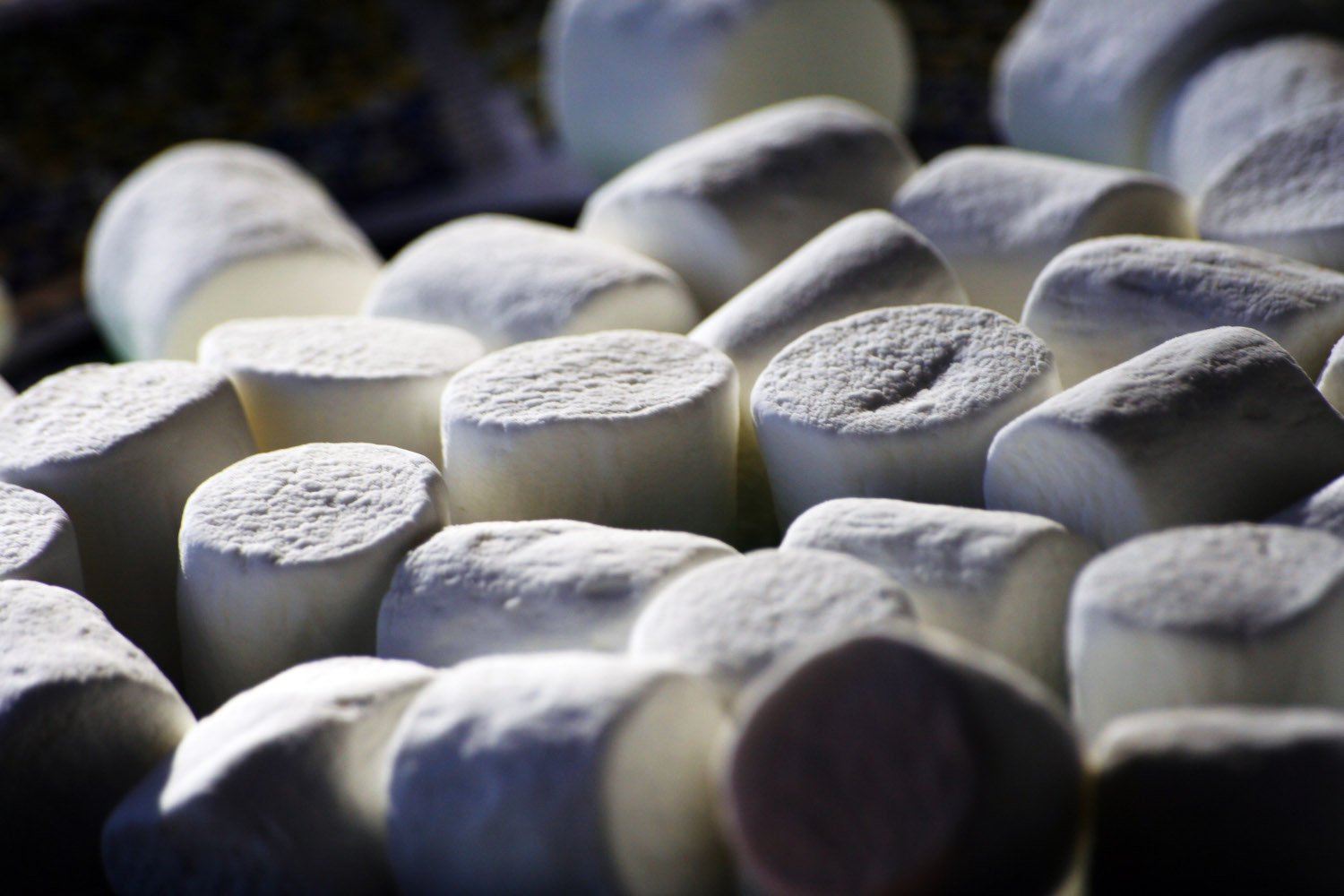 Marshmallow Child Experiment