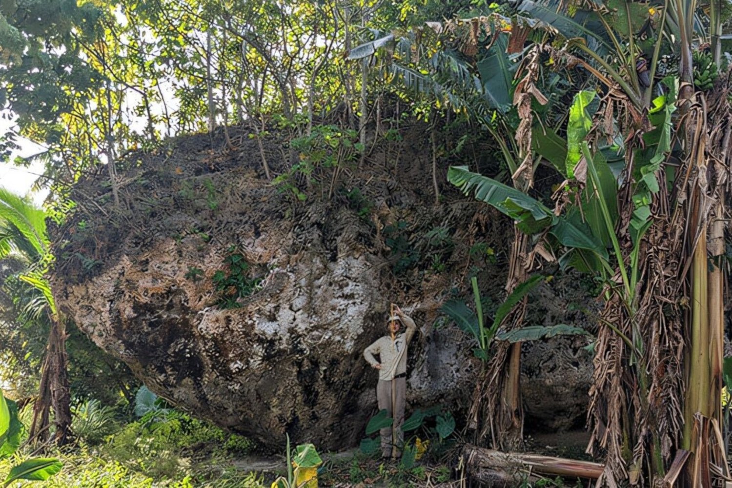 Max Kohler stands in front of the limestone boulder, Maka Lahi